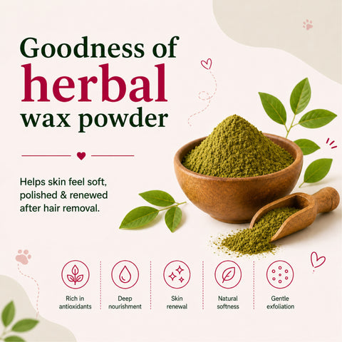 4-in-1 Herbal Bikini Hair Removal Wax Powder Mask 80g (₹10 per use)