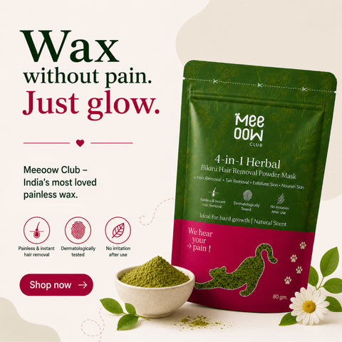 4-in-1 Herbal Bikini Hair Removal Wax Powder Mask 80g (₹10 per use)