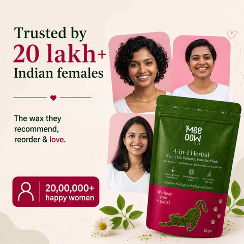 4-in-1 Herbal Bikini Hair Removal Wax Powder Mask 80g (₹10 per use)